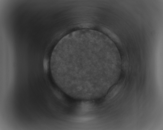 X0000100490070200807111131