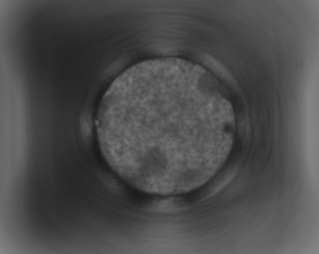 X0000100490072200807111131