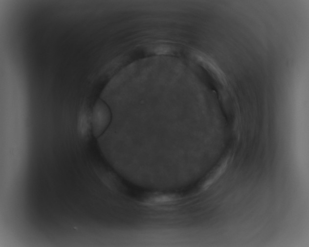X0000100490073200807111131