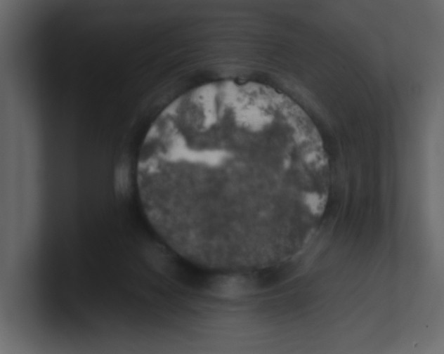 X0000100490074200807111131