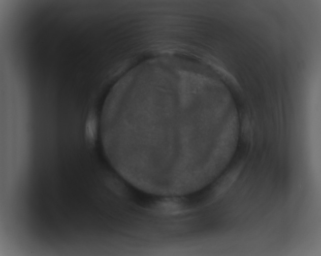 X0000100490076200807111131