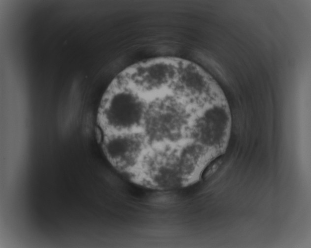 X0000100490077200807111131