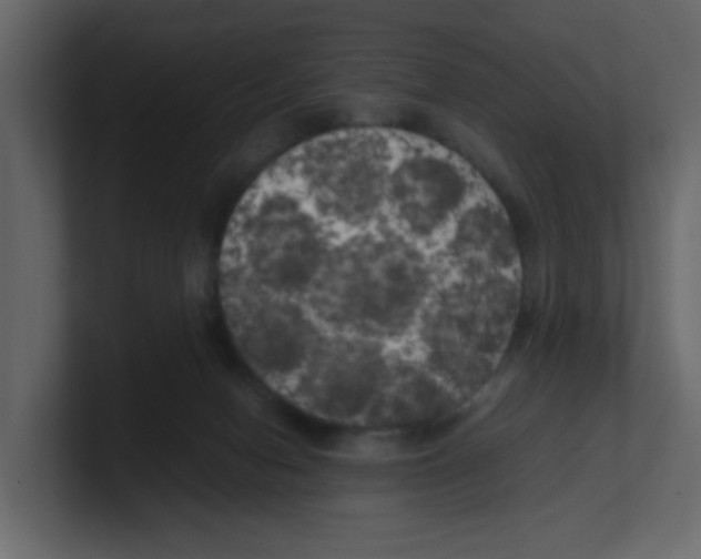 X0000100490078200807111131