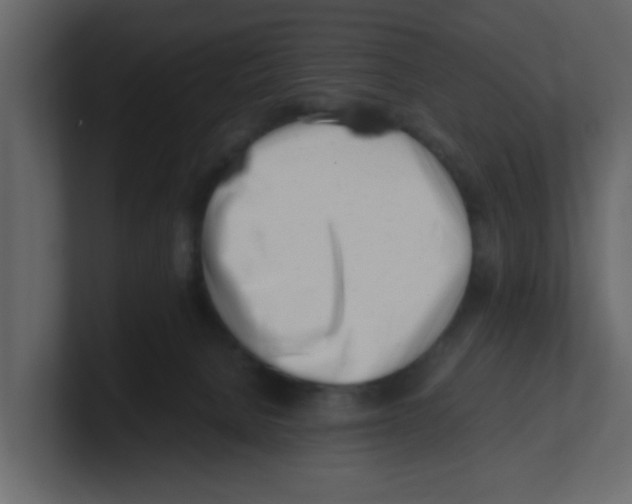 X0000100490080200807111131
