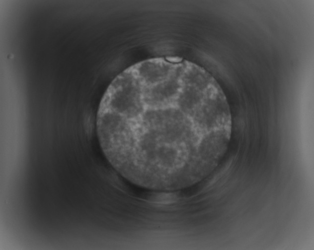 X0000100490081200807111131