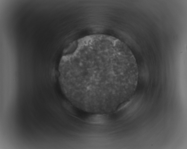 X0000100490082200807111131
