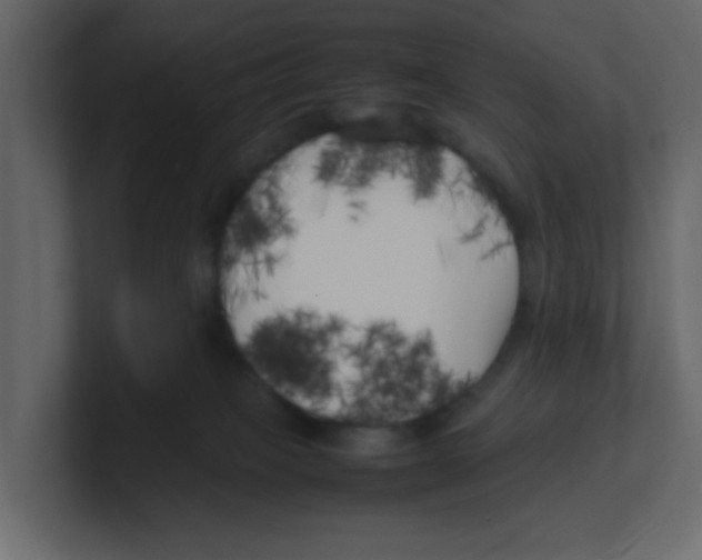 X0000100490085200807111131