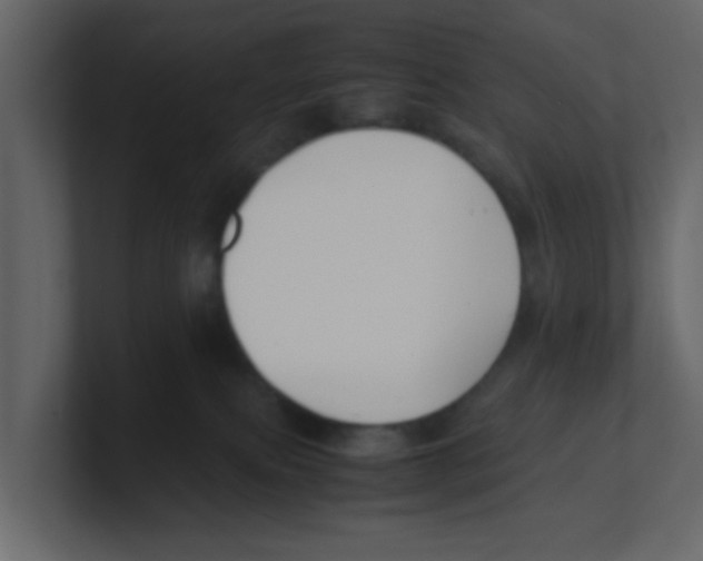 X0000100490087200807111131