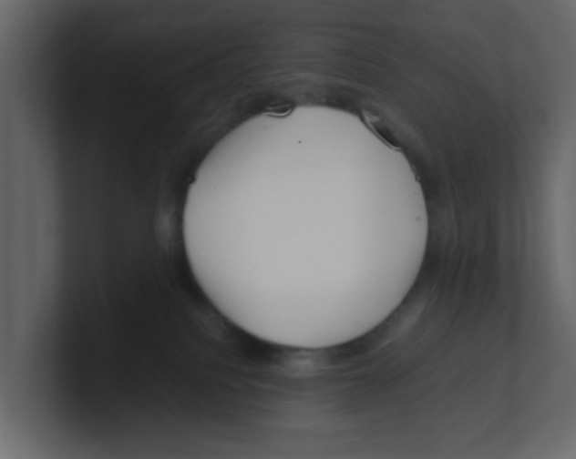 X0000100490088200807111131