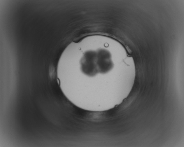 X0000100490089200807111131