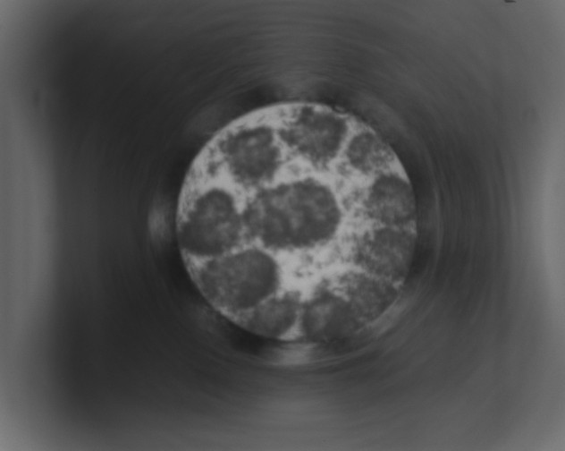 X0000100490090200807111131