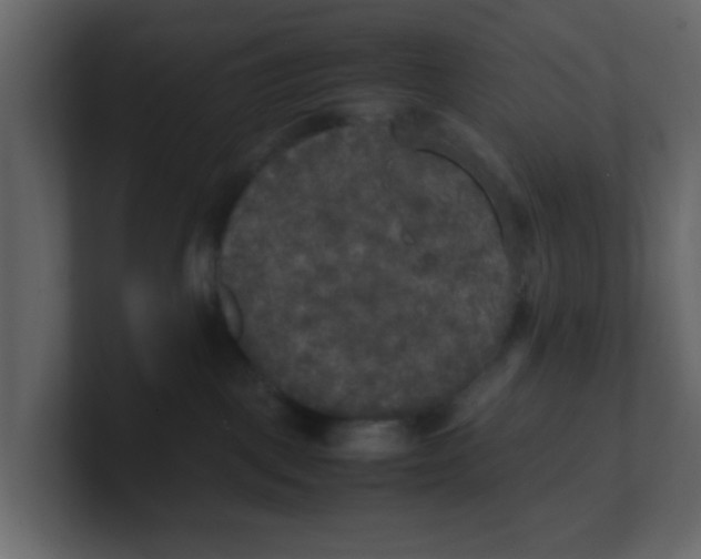 X0000100490093200807111131