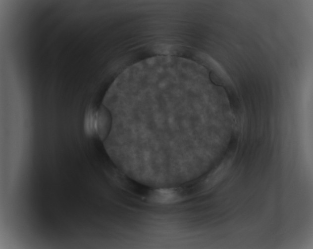 X0000100490095200807111131