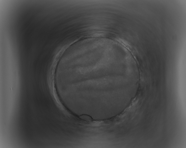 X0000100490097200807111131