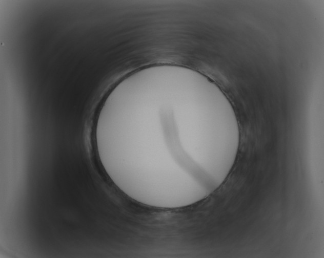 X0000100490098200807111131