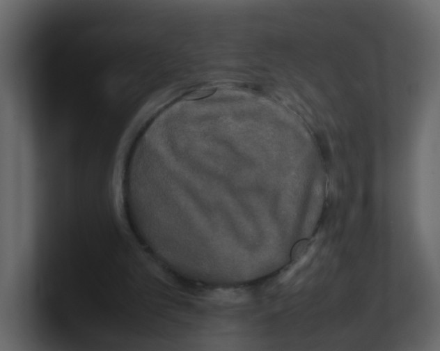 X0000100490101200807111131