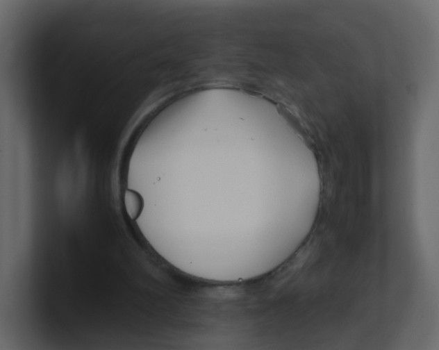 X0000100490102200807111131