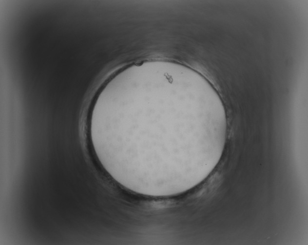 X0000100490103200807111131