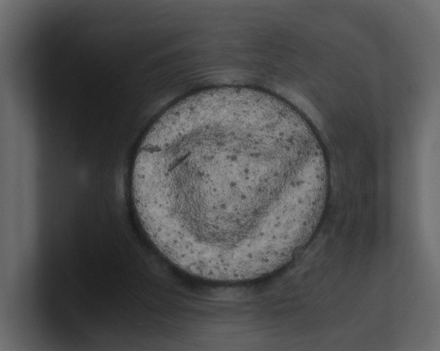 X0000100490105200807111131