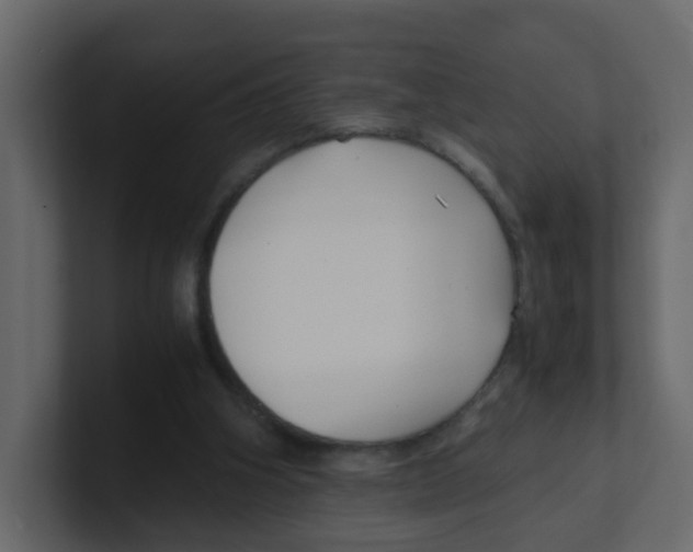 X0000100490106200807111131