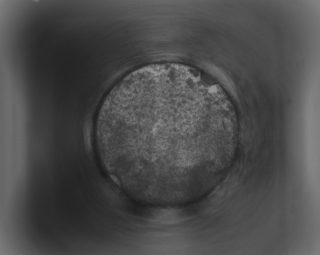 X0000100490107200807111131