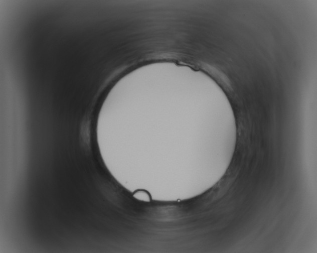 X0000100490108200807111131