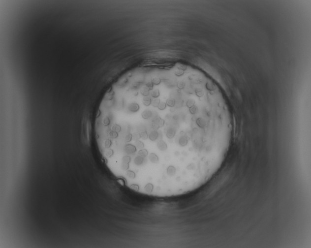 X0000100490109200807111131