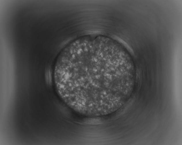 X0000100490110200807111131