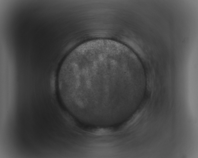 X0000100490111200807111131