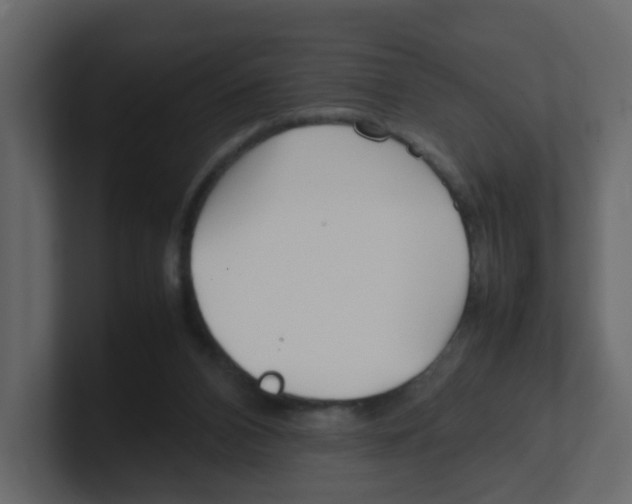 X0000100490112200807111131