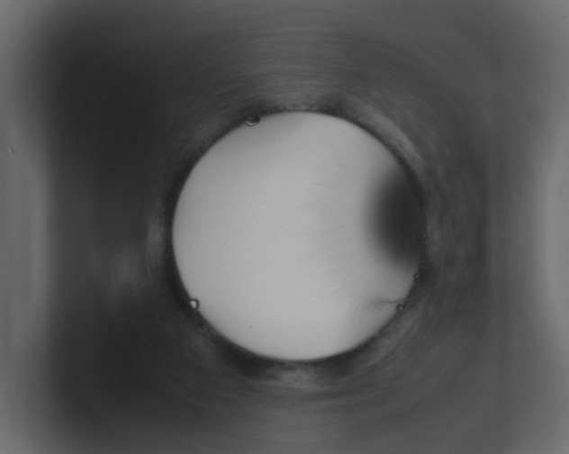 X0000100490113200807111131