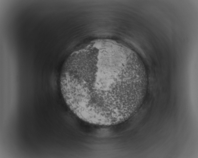 X0000100490114200807111131