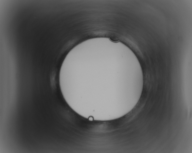 X0000100490116200807111131