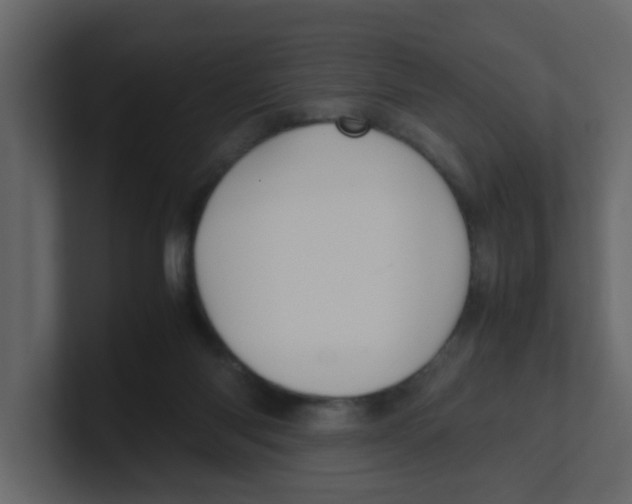 X0000100490118200807111131
