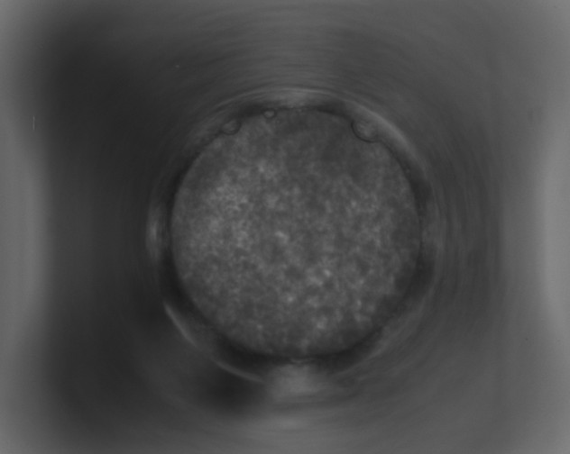 X0000100490119200807111131