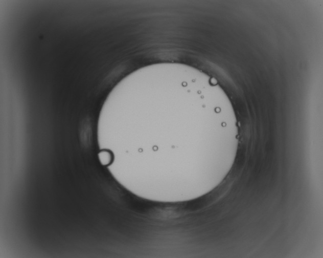 X0000100490120200807111130