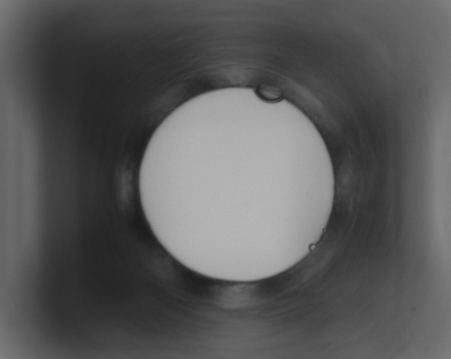 X0000100490122200807111130