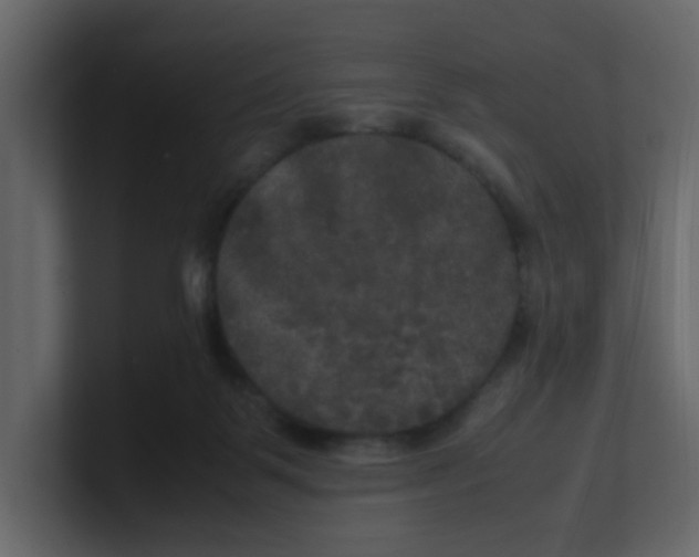 X0000100490123200807111130