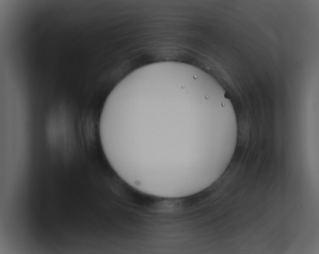 X0000100490126200807111130