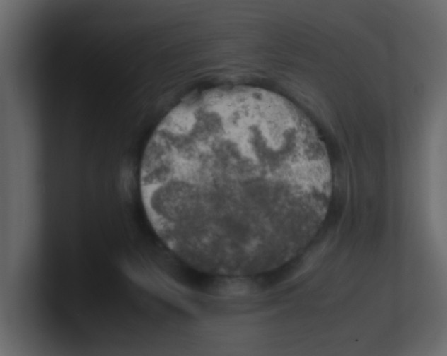 X0000100490127200807111130
