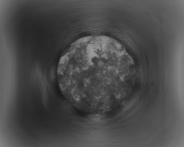 X0000100490131200807111130