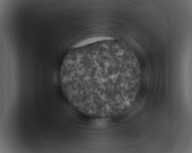 X0000100490134200807111130