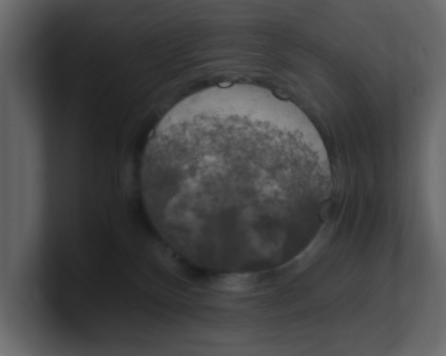 X0000100490136200807111130