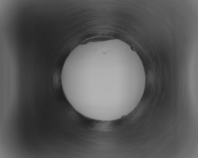 X0000100490138200807111130
