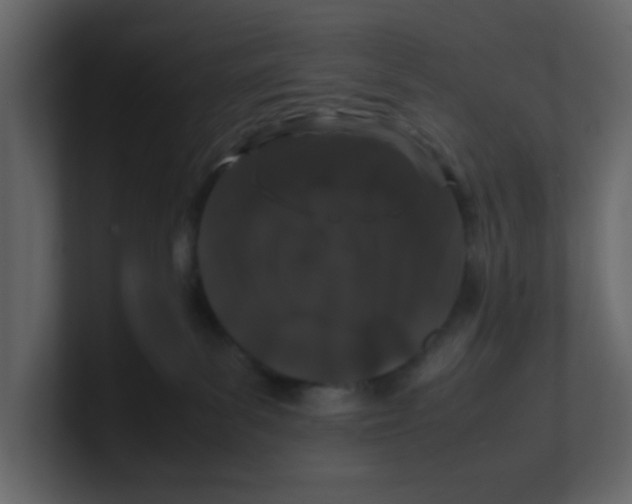 X0000100490139200807111130