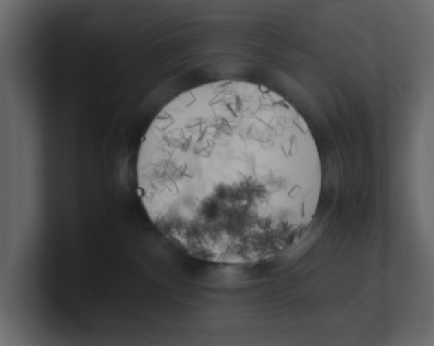 X0000100490140200807111130