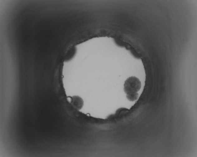 X0000100490144200807111130