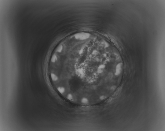 X0000100490145200807111130