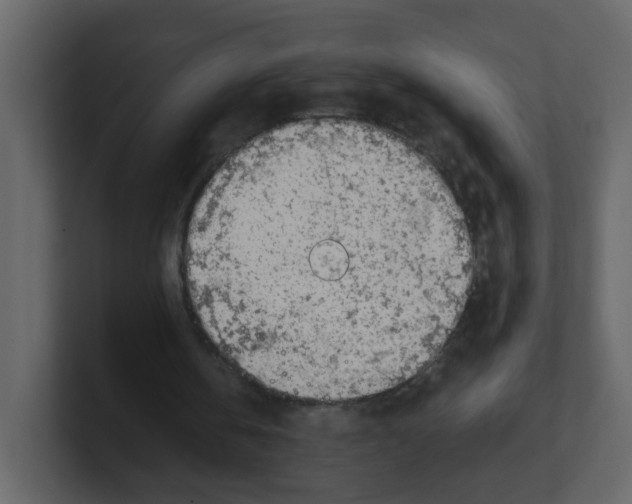 X0000100490146200807111130