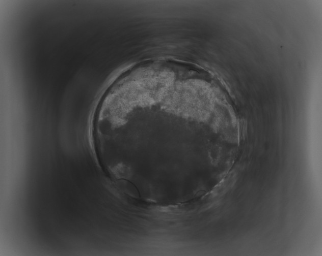 X0000100490147200807111130